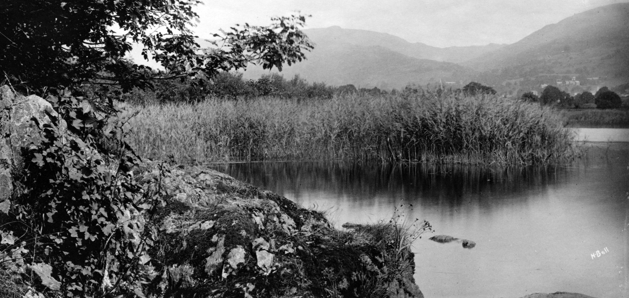 River Rothay Fishing Reed Revival - SCRT