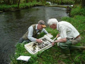 anglers-riverfly-monitoring