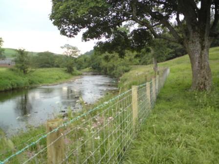 fencing-protecting-river-bank