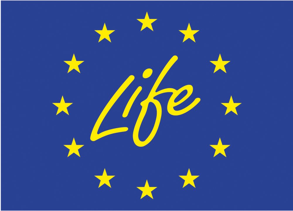 A year in the LIFE of.. - SCRT