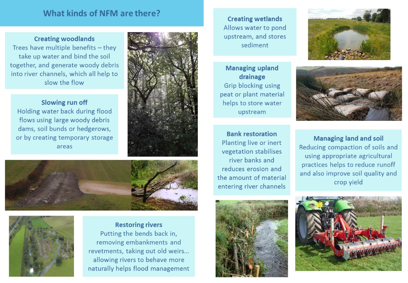 Natural Flood Management SCRT
